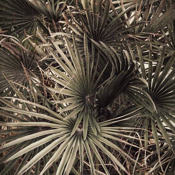 Tableau tropicana mood 80 x 120 x 80 cm - Métal