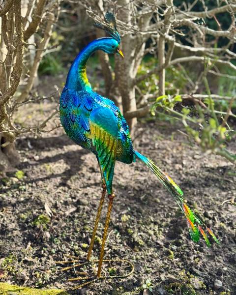 Gartenfigur PEACOCK Blau - Metall - 26 x 75 x 18 cm