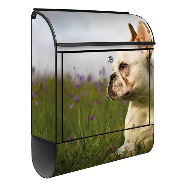 Briefkasten Stahl Französische Bulldogge Schwarz - Stahl - 38 x 46 x 13 cm