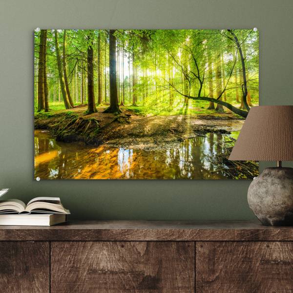 ACRYLGLASBILD Wald 60 x 40 cm
