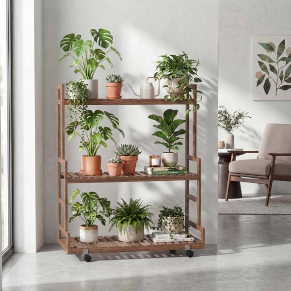 Pflanzenregal Q33 kaufen