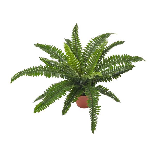 Fougère artificielle Boston Vert - Polyester - 16 x 45 x 45 cm