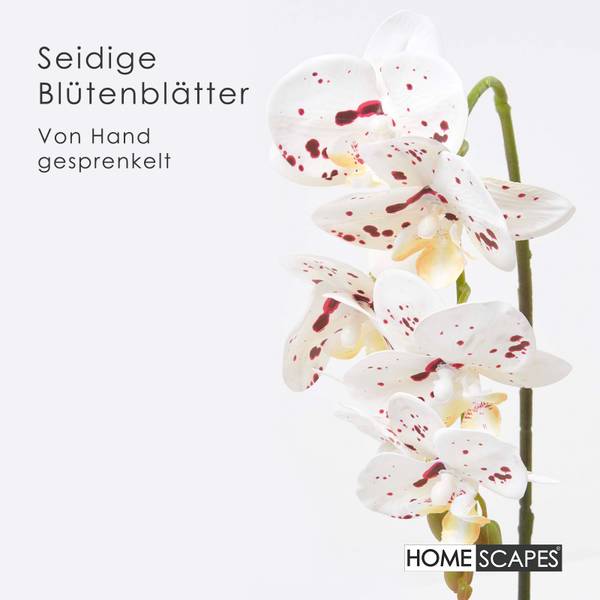 Künstliche Orchidee Lifelike Weiß - Polyester - 22 x 56 x 56 cm