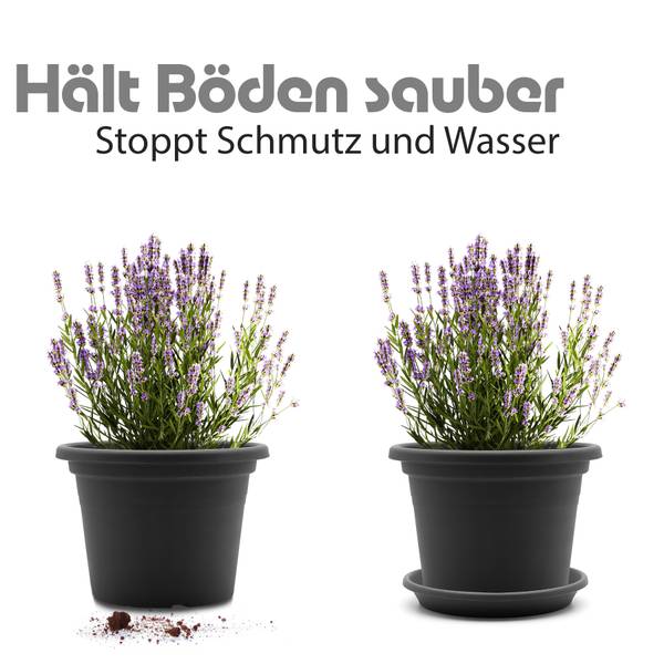 Blumentopfuntersetzer 1770463 20er Set Grau - Kunststoff - 17 x 3 x 17 cm