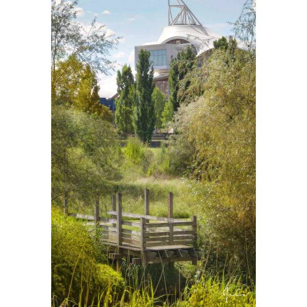Tableau mural Jardins Jean-Marie Pelt Vert - Acacia - 65 x 45 x 3 cm