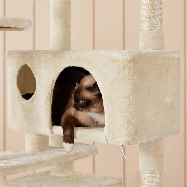 kratzbume gnstig und stabil Kratzbaum fr grosse Katzen  Extra stabil & robust  pandaloo.ch