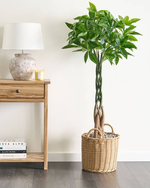 Kunstpflanze PACHIRA TREE Schwarz - Grün - Kunststoff - 45 x 120 x 45 cm