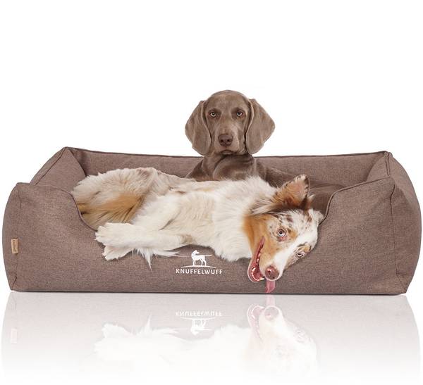Hundebett Wippo Braun - Textil - 105 x 30 x 155 cm