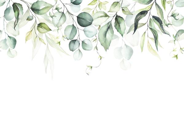 Fototapete Eukalyptus Blätter Aquarell Beige - Grün - Weiß - Vinyl - 350 x 255 x 1 cm