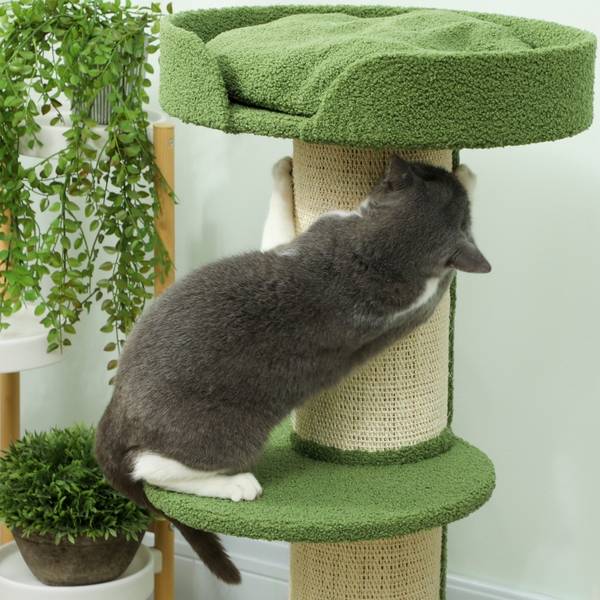 Katzenkratzbaum CP176 Grün - Textil - 45 x 91 x 45 cm
