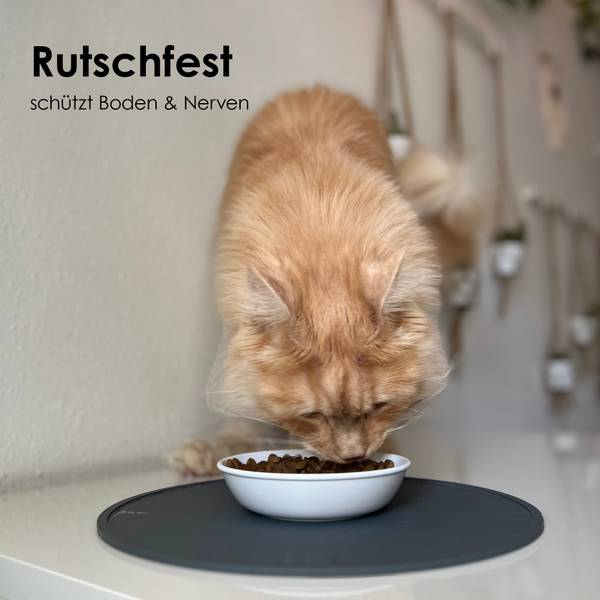 geschlossene katzentoilette Vollstndig geschlossene Katzentoilette 