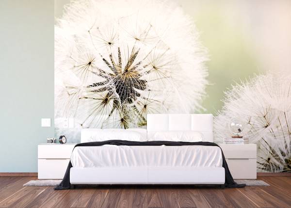 papier peint panoramique fleurs Blanc - Polaire - 360 x 270 x 270 cm