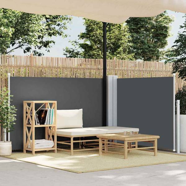 Auvent latéral 3000267-1 Anthracite - 600 x 120 cm