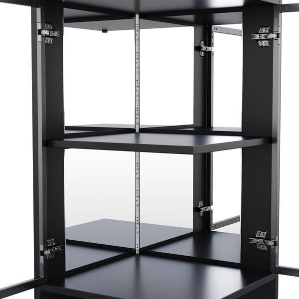 Vitrine HE46QUA Ⅴ Schwarz - Holzwerkstoff - 44 x 205 x 42 cm