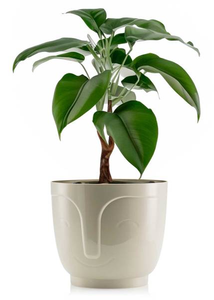 Blumentopf Zoe Beige - 17 x 15 x 17 cm - Anzahl Teile im Set: 1