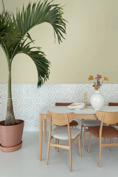 Wandfarbe matt 191002 Braun - Papier - 1800 x 100 x 1800 cm