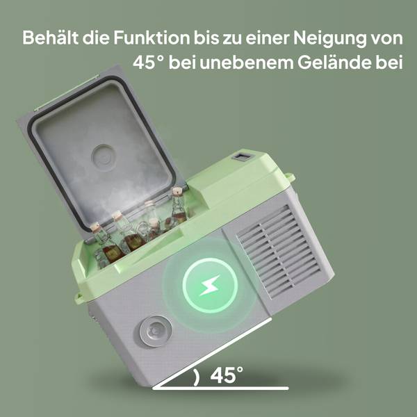 Kühlbox C00-046V90GY Grau - Kunststoff - 32 x 33 x 46 cm