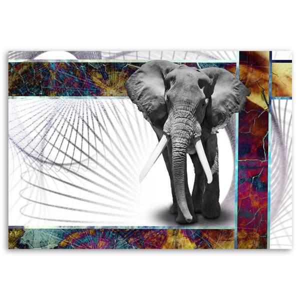 Wandbild Tier 60 x 40 cm