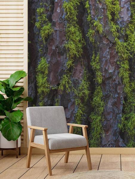 Fototapete Holz Rinde Textur 150 x 210 cm