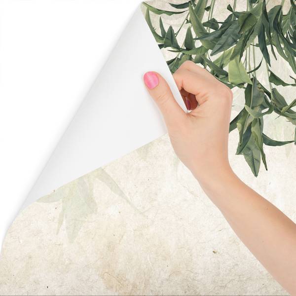 Papier Peint FEUILLES DE BANANE Béton 405 x 270 x 270 cm