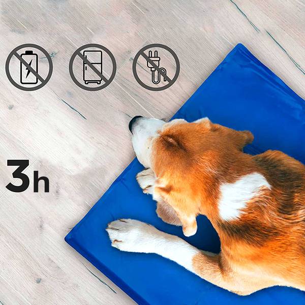 Hundematten Box Blau - Textil - 40 x 1 x 50 cm
