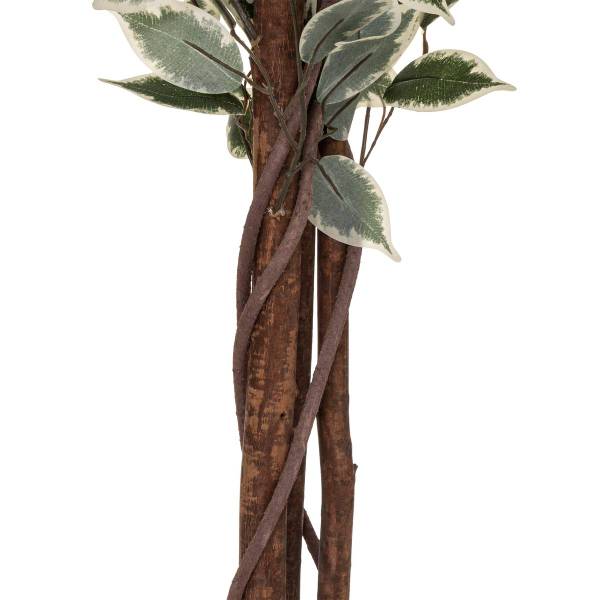 Knstlicher Ficus BENJAMINA kaufen | home24
