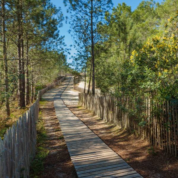 Tableau mural chemin de la Salie sud 30 x 30 cm