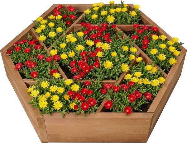 Pflanzbeet-Komposition Hexy1 Braun - Massivholz - 100 x 80 x 100 cm