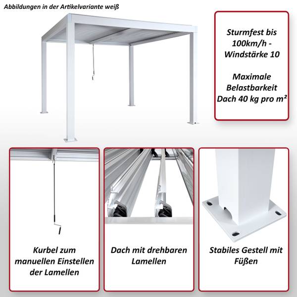 Pergola L46 Grau - Aluminium - Stahl - 300 x 220 x 300 cm