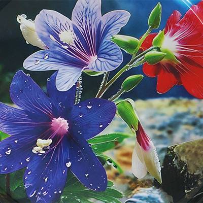 Tablett rund Bergblume Blau - Melamin - 40 x 2 x 40 cm