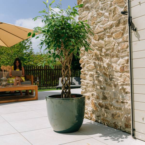 Blumentopf Lancelot 47 x 41 x 47 cm