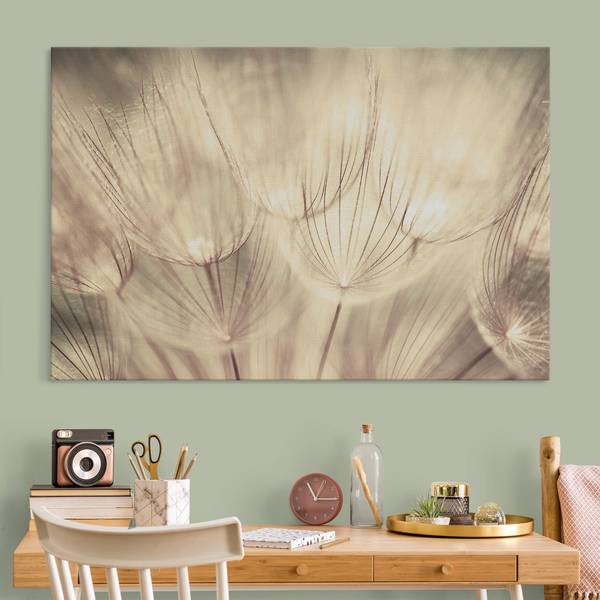 Akustikbild Pusteblumen Nahaufnahme 70 x 50 cm