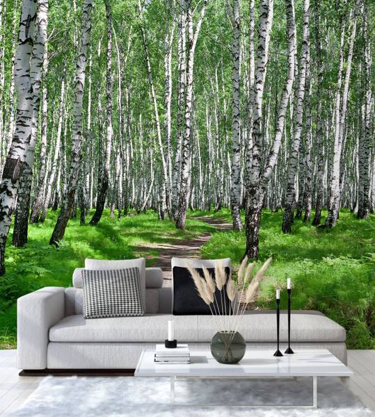Fototapete Birkenwald Baume Natur 300 x 300 cm