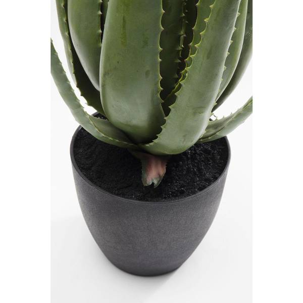 Plante décorative Aloe 69cm Vert - Matière plastique - 20 x 69 x 20 cm