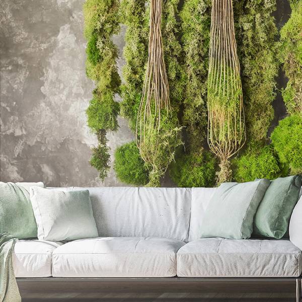 Papier peint, Plante de mousse Nature 350 x 245 cm