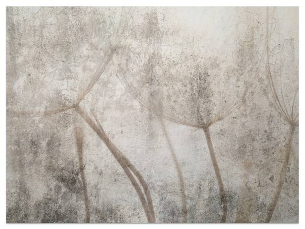 Fototapete Skizze Löwenzahn Beton Natur 150 x 105 x 105 cm