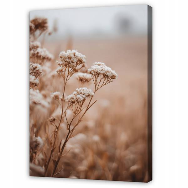 Leinwandbild Blumen SPP16501 80 x 120 x 3 cm