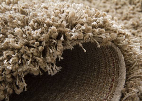 Hochflorteppich Twilight Beige - Polypropylen - 200 x 290 cm