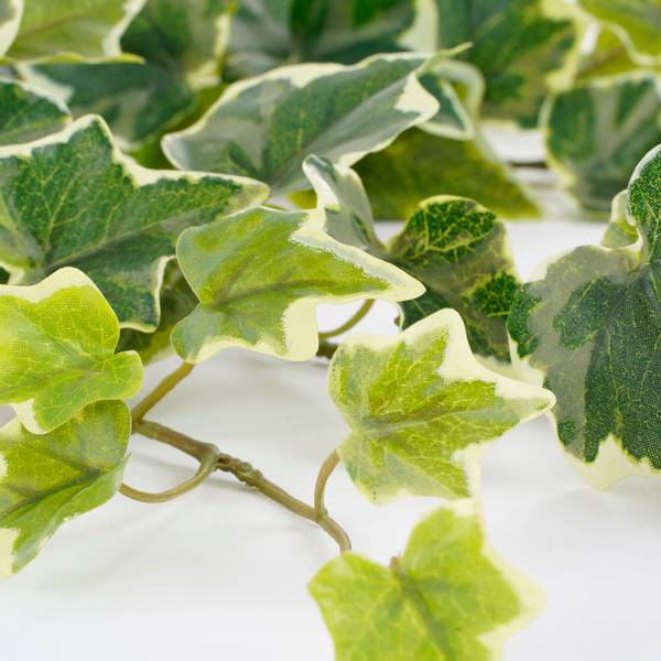 Kunstpflanze Ivy Grün - Hellgrün