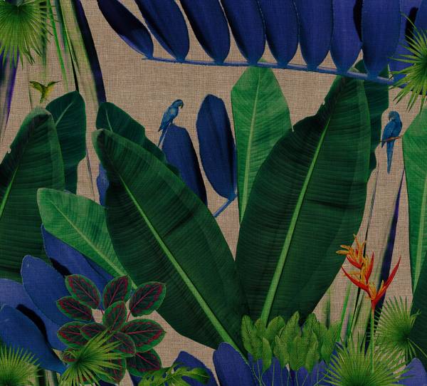 Kolibri Panorama-Tapete Papier - 288 x 260 x 288 cm
