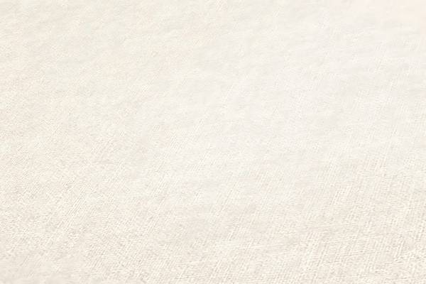 Vliestapete 367203-GU Weiß - Fleece - 53 x 1005 x 1 cm