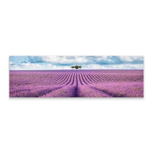 Tableau Panorama Champ de Lavande 3D Bleu - Mauve - Blanc - Lin - 145 x 45 x 45 cm