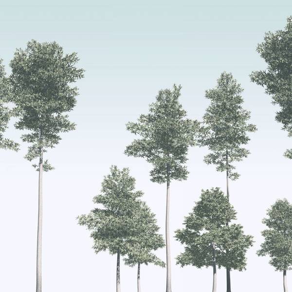Fototapete 612447 Grün - Papier - 400 x 280 x 280 cm