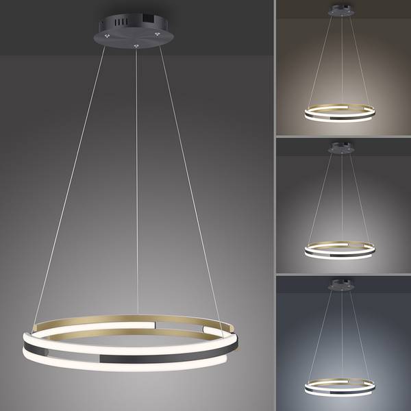 LED Pendelleuchte Q-BELUGA Smart Home Messing - Aluminium - 60 x 120 x 60 cm