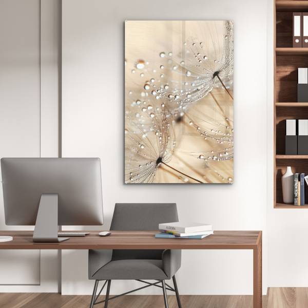 ACRYLGLASBILD Löwenzahn 60 x 90 cm