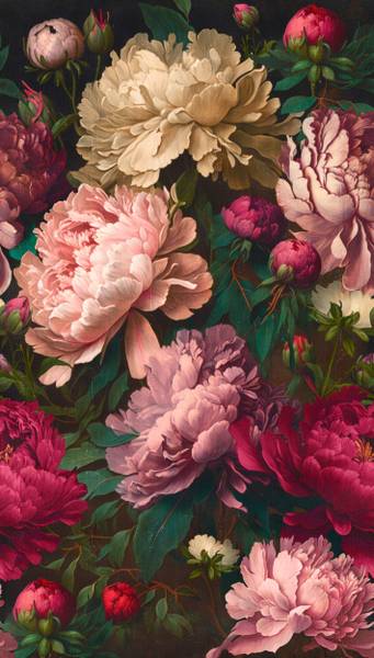 Fototapete 398621-GU Pink - Kunststoff - 159 x 1 x 280 cm
