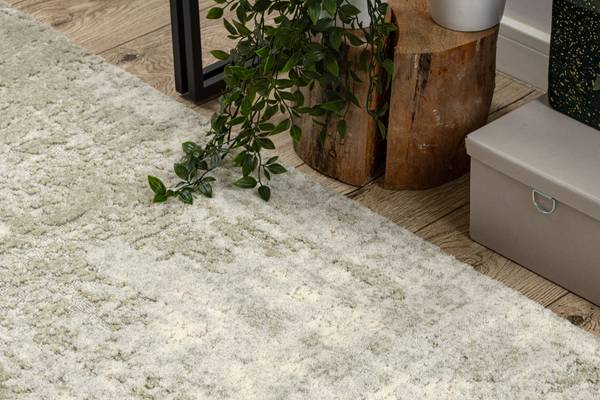 Tapis P21522 200 x 300 cm