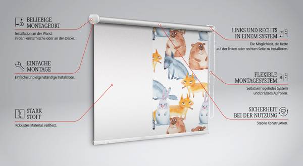 Rollo ZOO 60 x 140 cm