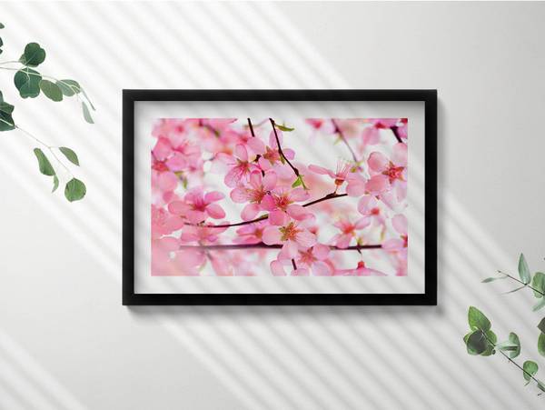 Bild Rosa Frühlingsblüten Schwarz - 60 x 40 cm