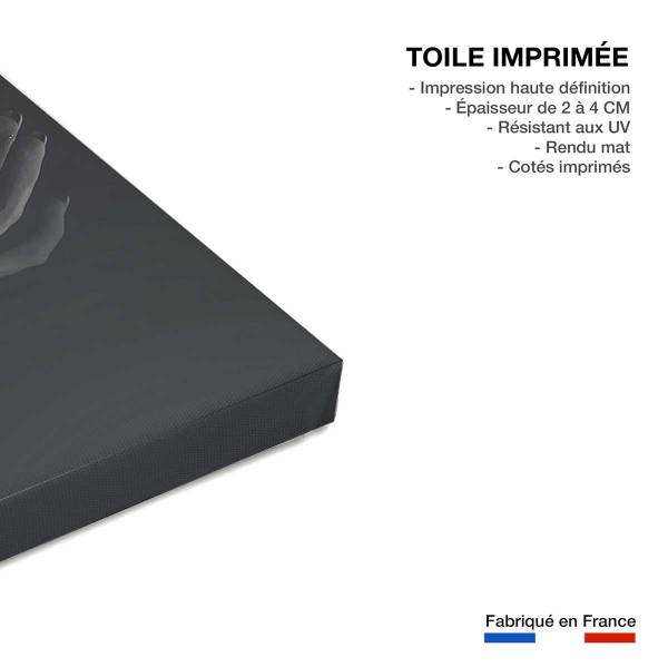 Tableau deco d'art sofia 60 x 40 x 2 cm - Fibres naturelles